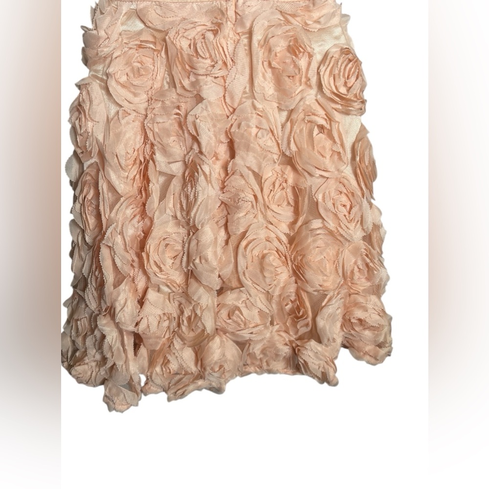 A Drea dress size small beautiful blush pink fit-n-flare sheer back mini dress‎ - Picture 4 of 10